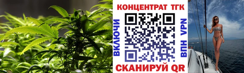 ТГК вейп  KRAKEN как войти  Каменногорск 