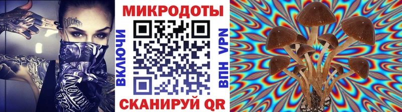 Псилоцибиновые грибы Magic Shrooms  Каменногорск 